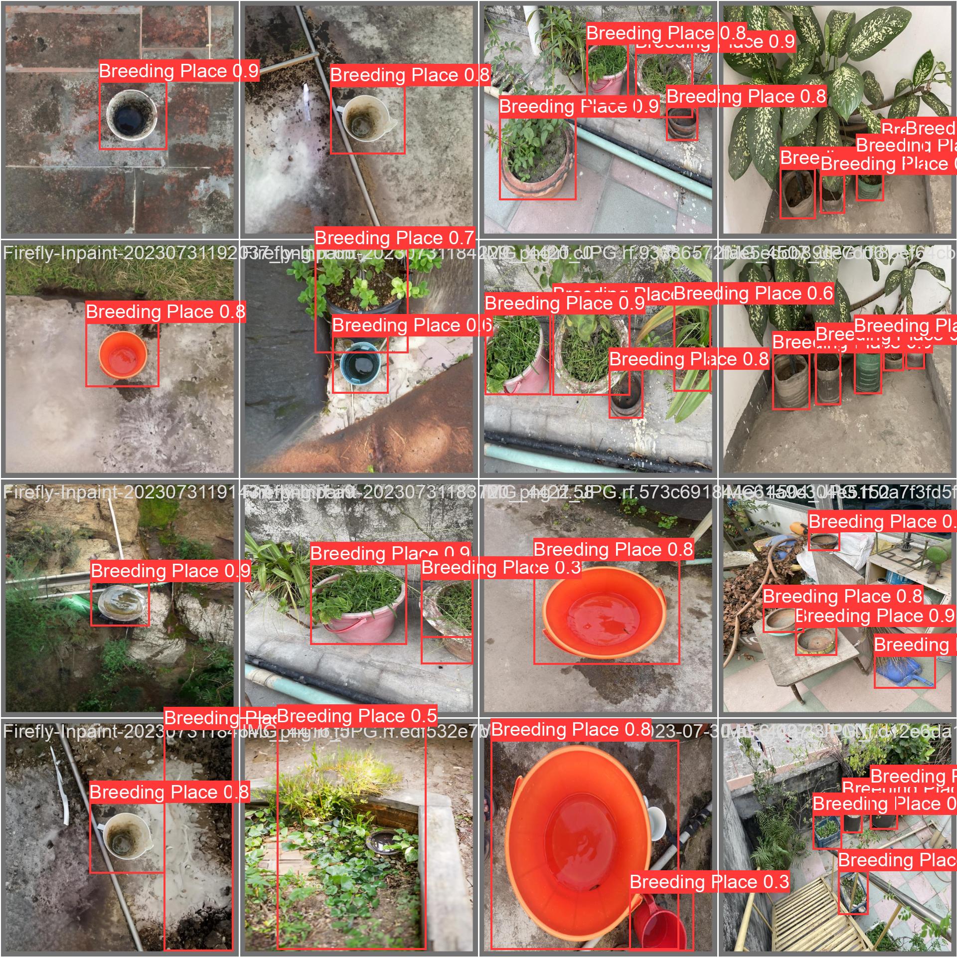 MosquitoFusion Dataset